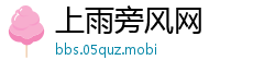 上雨旁风网